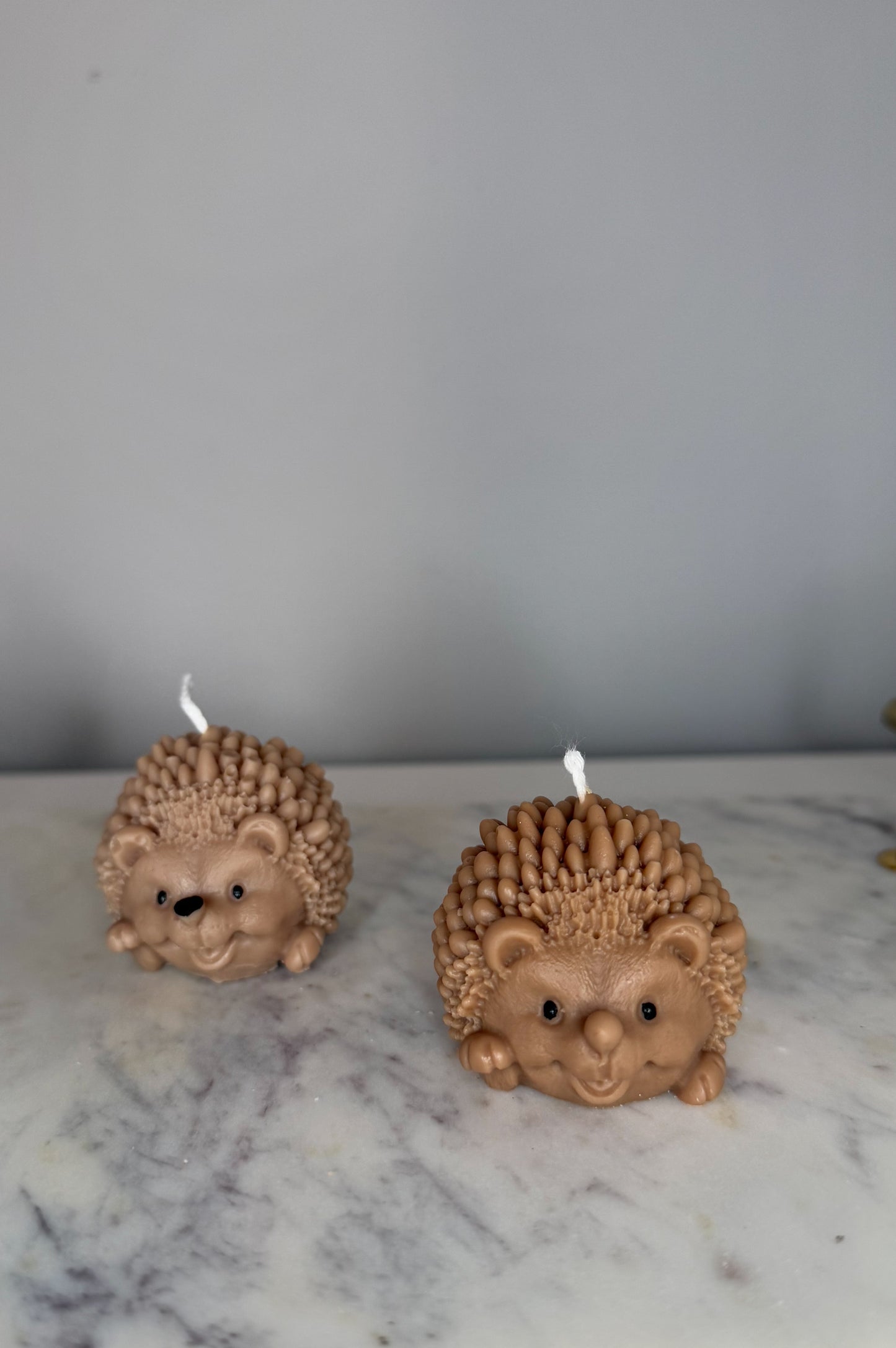 Igel