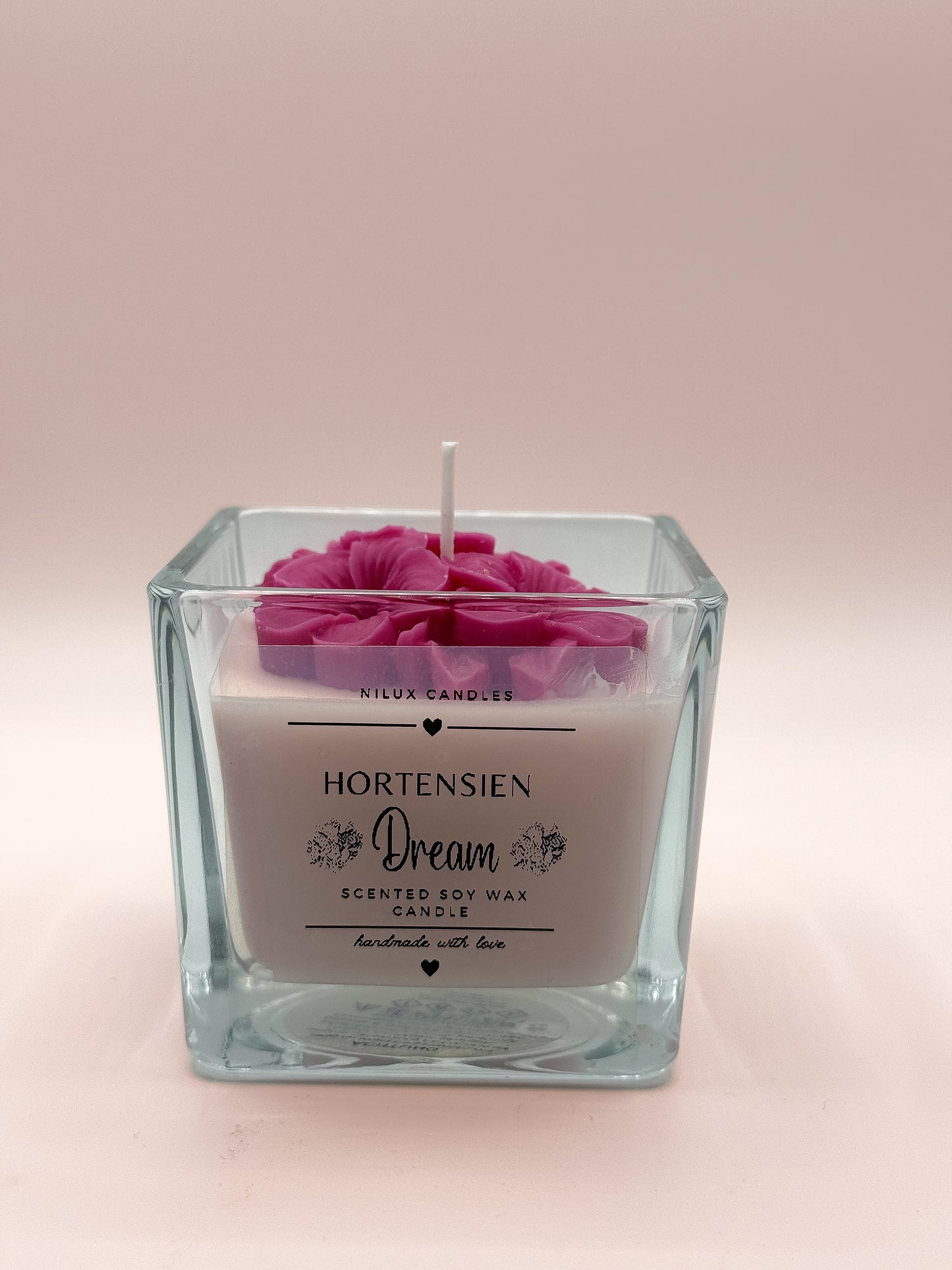 Hortensien Dream