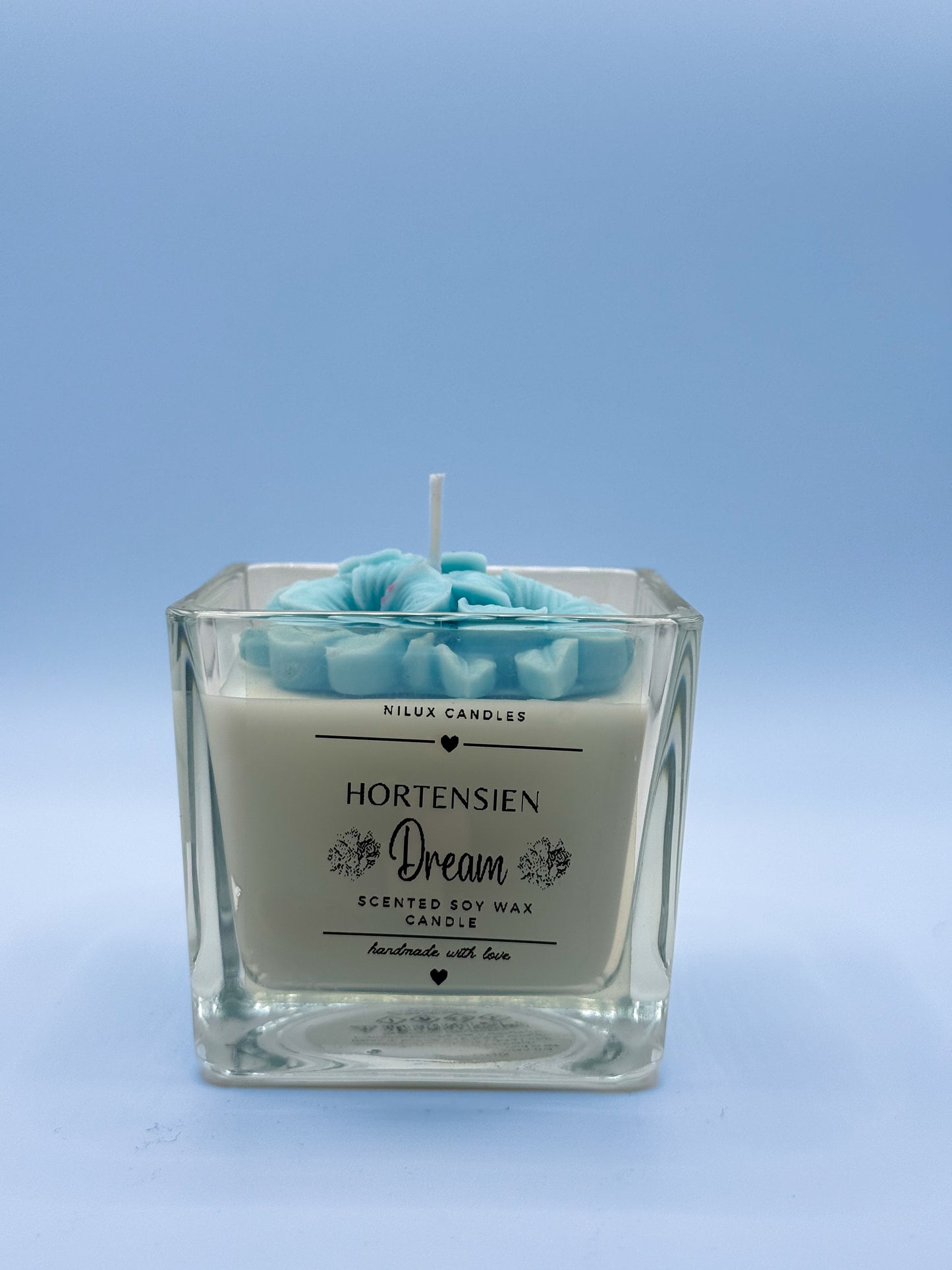 Hortensien Dream