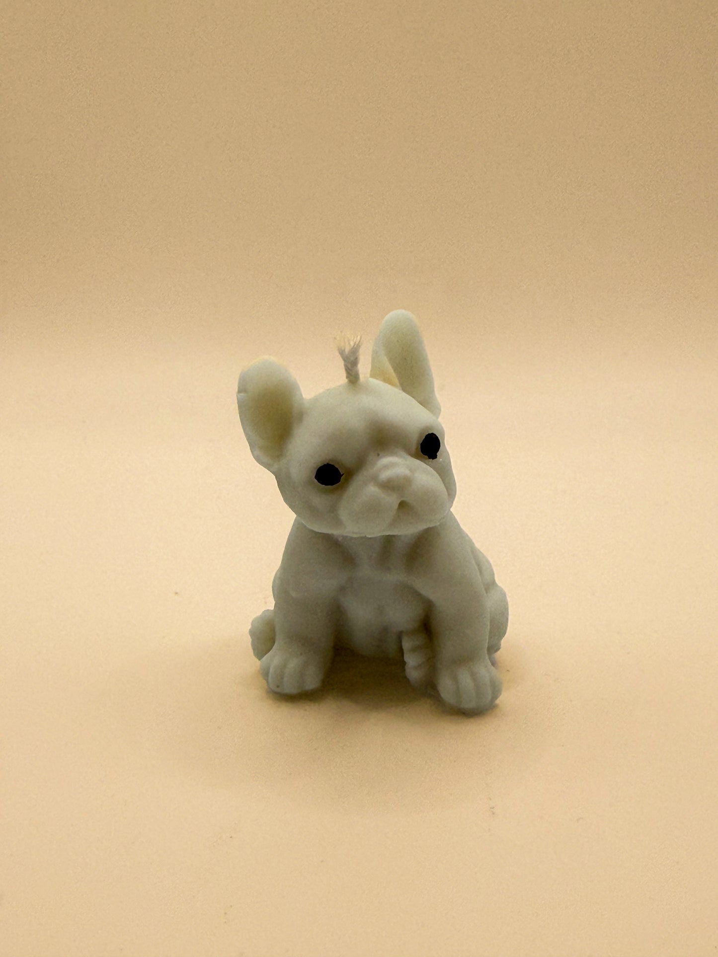 Frenchie