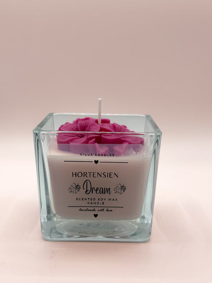Hortensien Dream