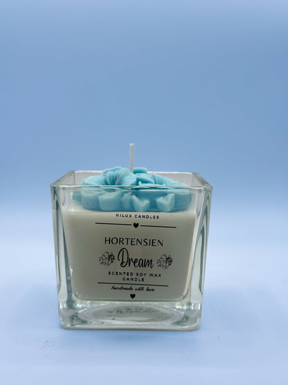 Hortensien Dream